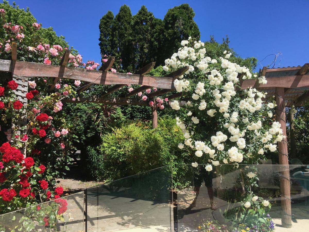 Bluebell Lodge And Cottage Hastings Εξωτερικό φωτογραφία